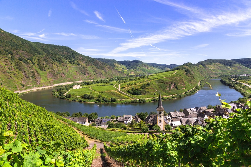 Blick auf Bremm an der Mosel mit Moselschleife