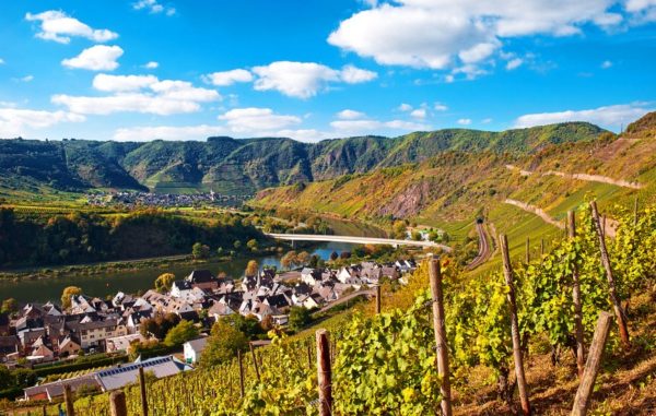 Cochem Mosel Immobilienmakler Angebote Mieten Kaufen